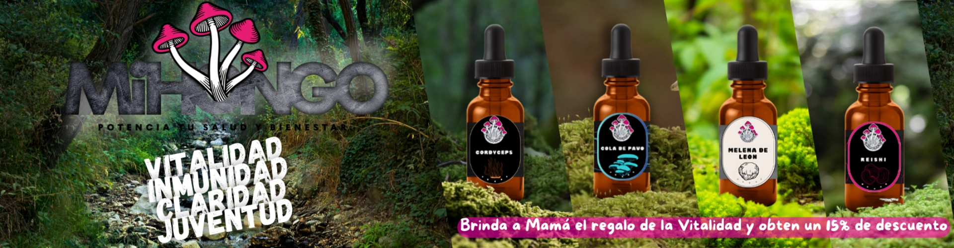 Inicio 2 banner mihongo madre