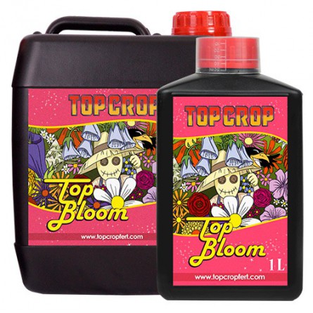 top-bloom top bloom