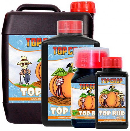 top-bud top bud