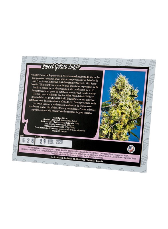 sweet-gelato-auto sweet gelato auto 2