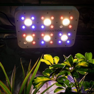 delight-apollo-evolution-led-6-cob-smd-180w (6) delight apollo evolution led 6 cob smd 180w 6