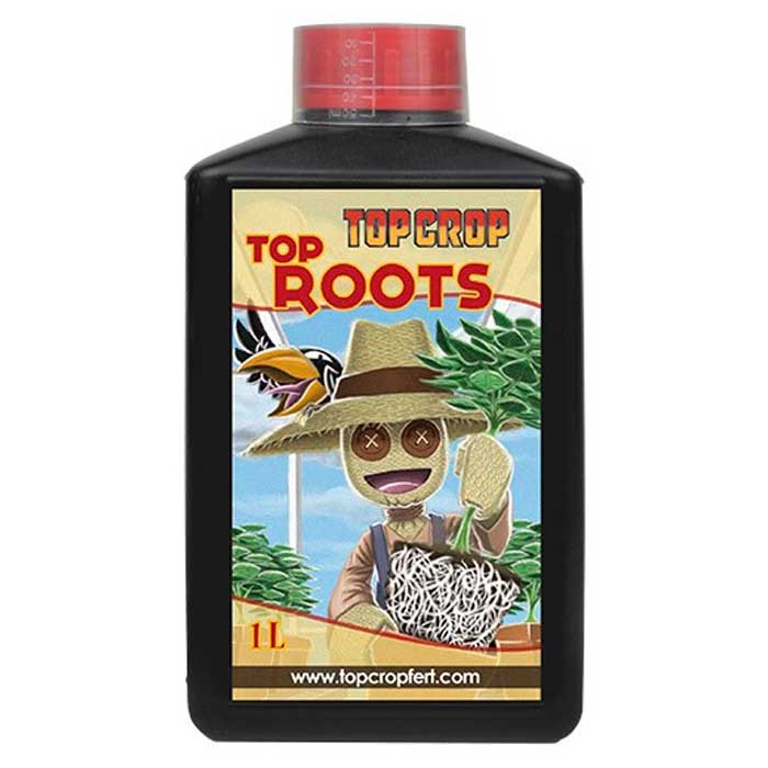 top-roots-top-crop-1L1 top roots top crop 1L1