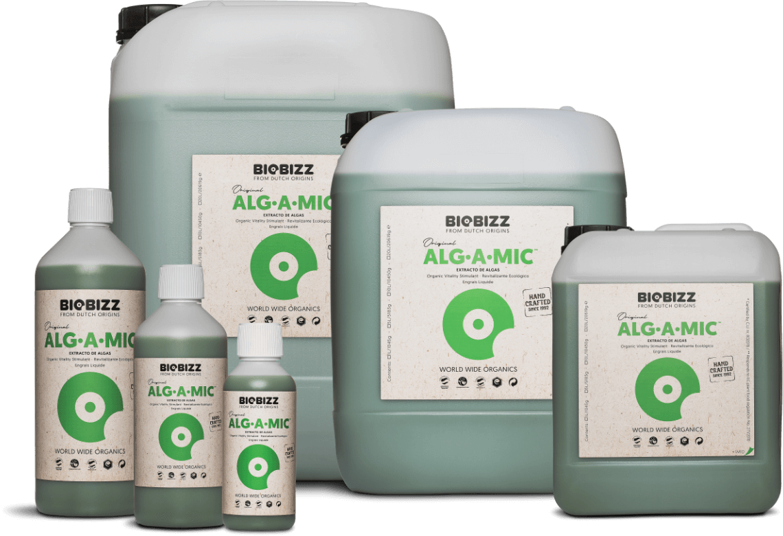 Alg·A·Mic-Family-EU Alg·A·Mic Family EU