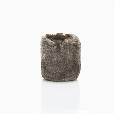 Manual de germinacion en jiffy 5
