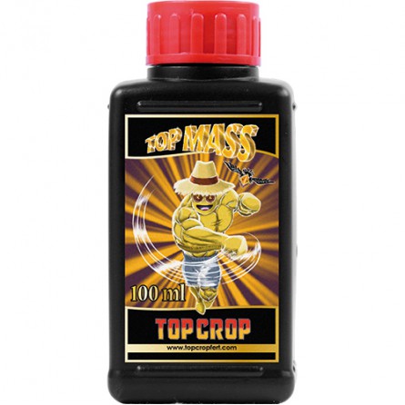 top-mass top mass