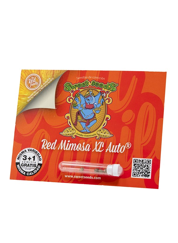 red-mimosa-xl-auto red mimosa xl auto