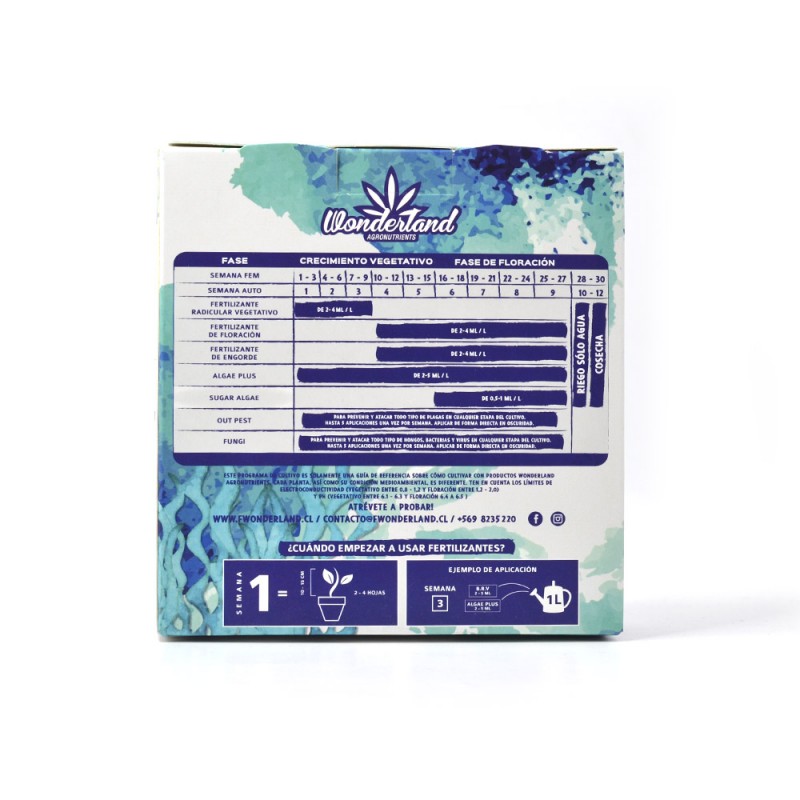 tripack-natural-base-algas-indoor-outdoor (2) tripack natural base algas indoor outdoor 2