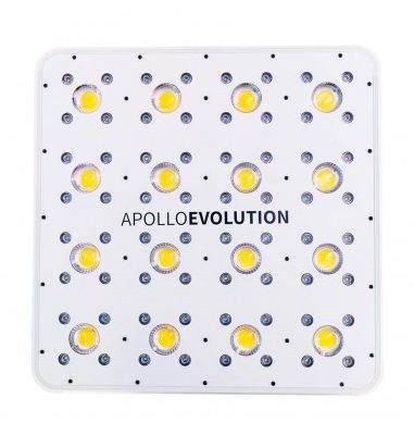 Inicio 70 apollo evolution 16