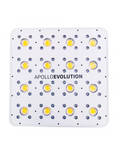 apollo-evolution-16 apollo evolution 16