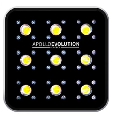 Inicio 69 apollo evolution pro 9