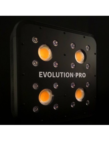 apollo-evolution-pro-4 (1) apollo evolution pro 4 1