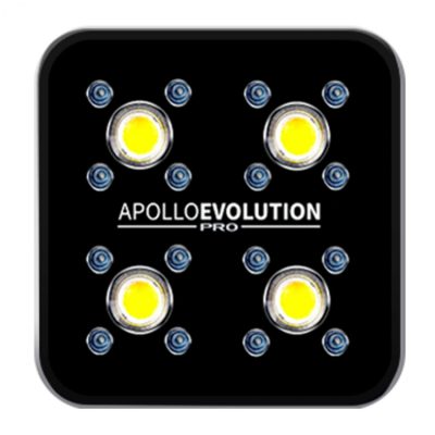 Inicio 68 apollo evolution pro 4