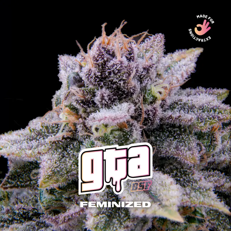 gta-feminized gta feminized