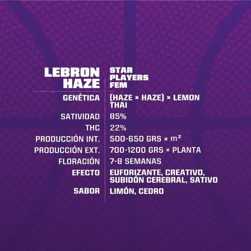 lebron-haze (1) lebron haze 1