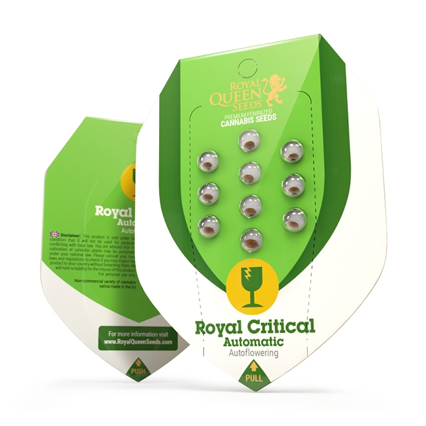 critical-automatic (1) critical automatic 1